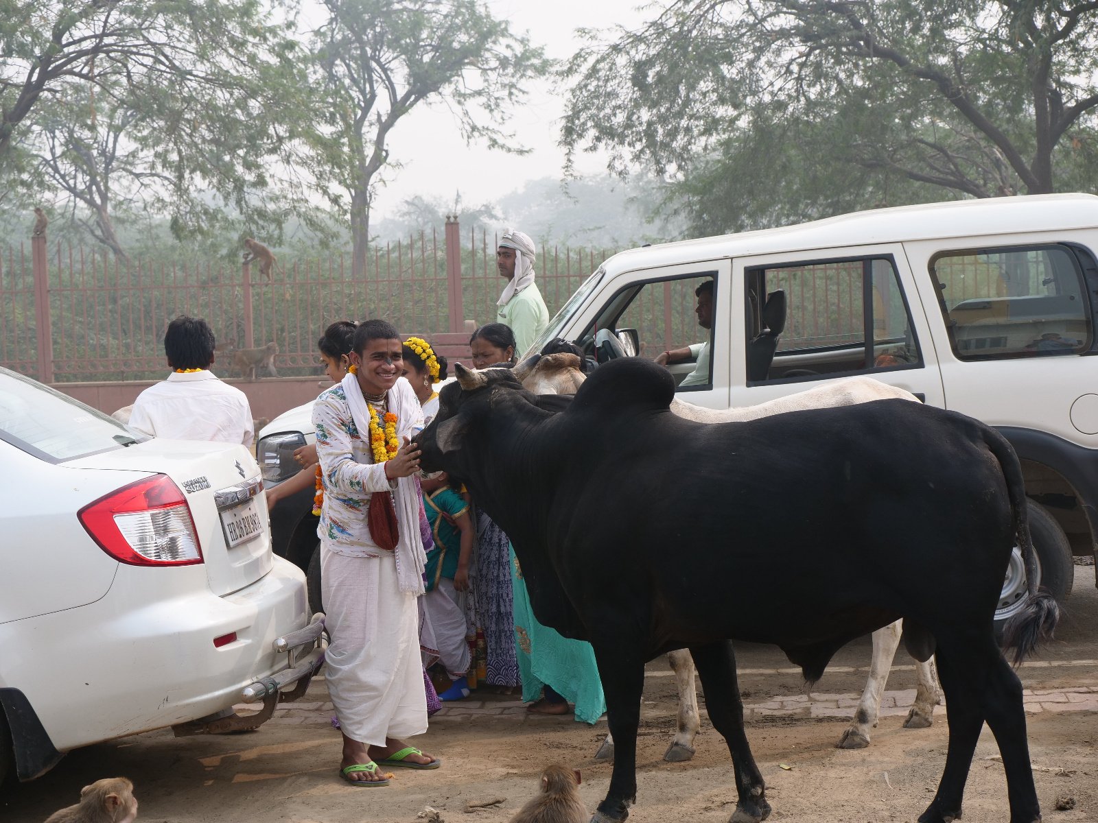  170 Gopashtami Radha kunda Govardhan 19.11.04